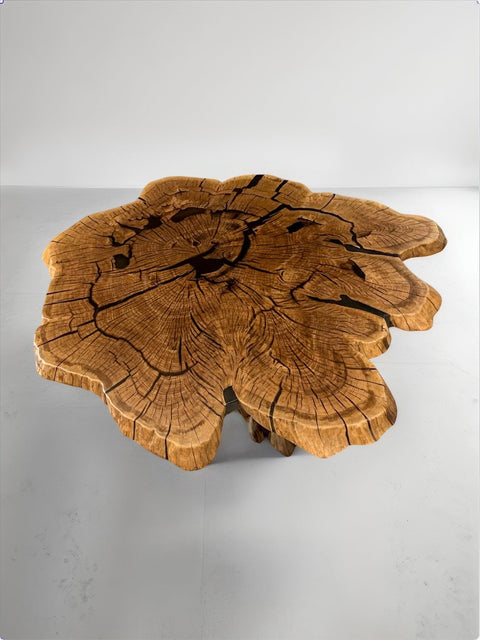 Organic coffee table from oak roots with smoky matte resin Vista