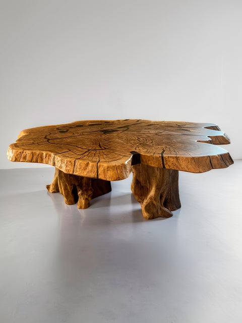 Couchtisch aus Eichenwurzeln mit mattem Epoxidharz Vista