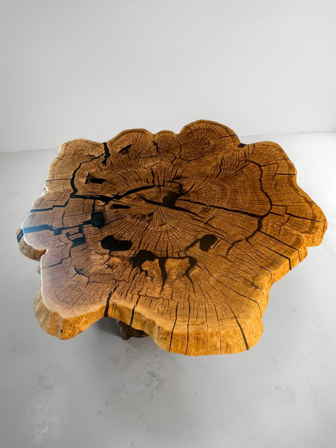 Organic coffee table from oak roots with smoky matte resin Vista